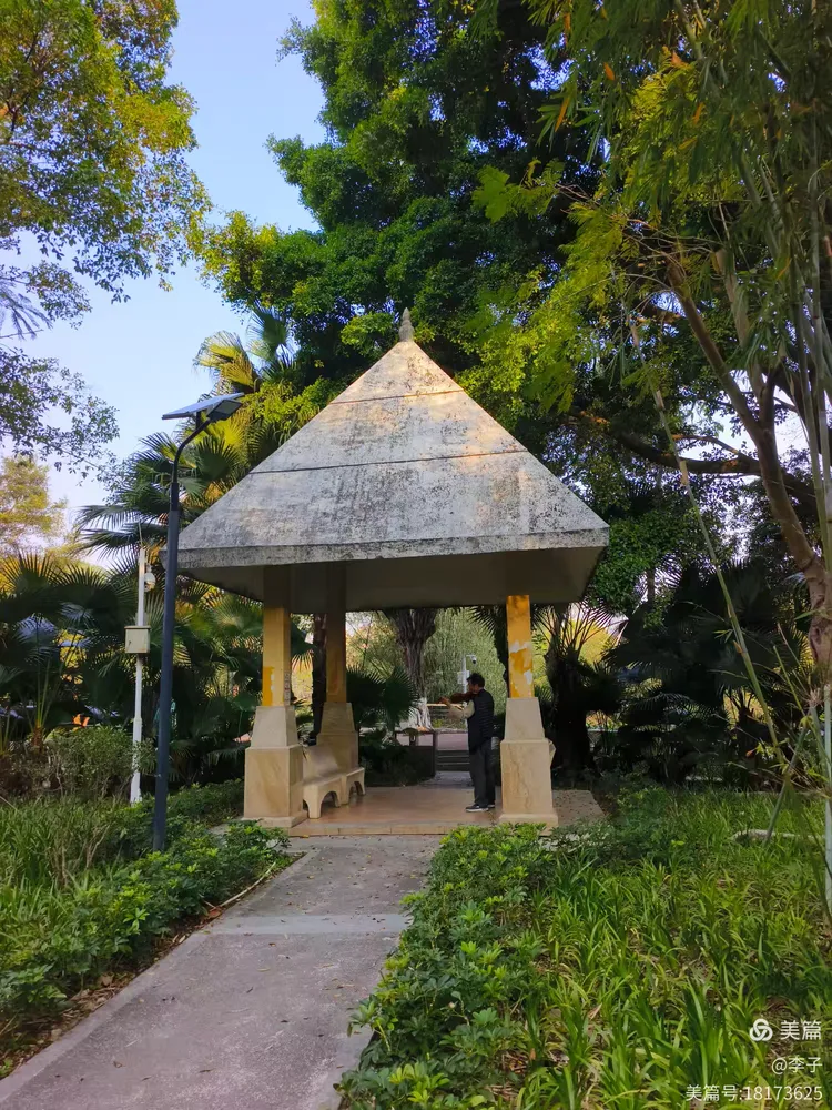 游永泰公园,踏青赏花"樱你而美"